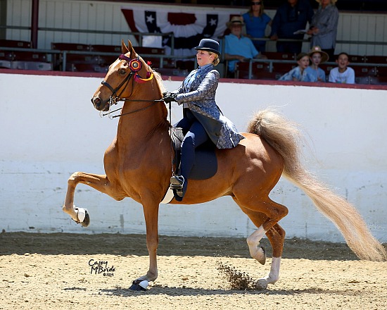 Santa Barbara National July 1-4, 2026