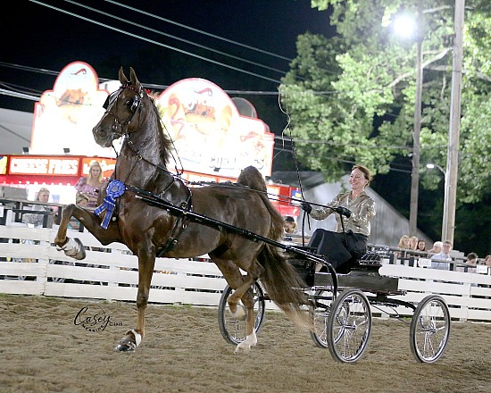 2025 Rock Creek Horse Show